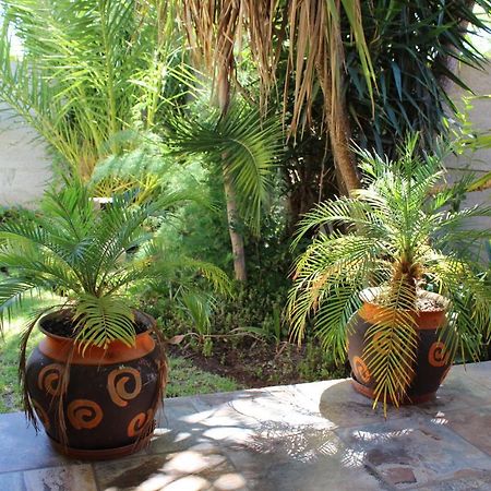 Van Biljon Cottage No Loadshedding Oudtshoorn Zewnętrze zdjęcie